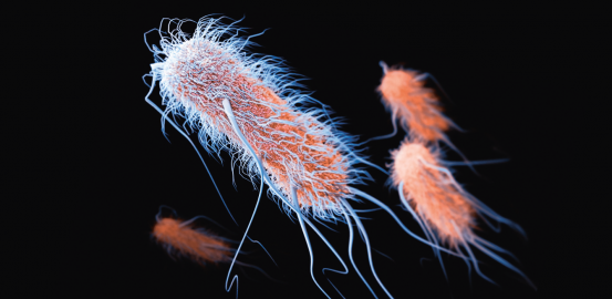 Super-bacteria are gaining ground